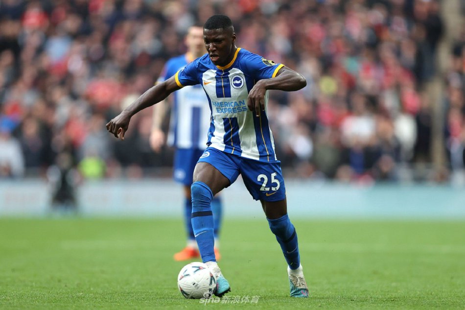 该球队不仅 该球队不仅